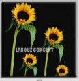 /album/photo-gallery-canvas-uri/decoratiuni-de-perete-canvas-lc-0179-jpg/